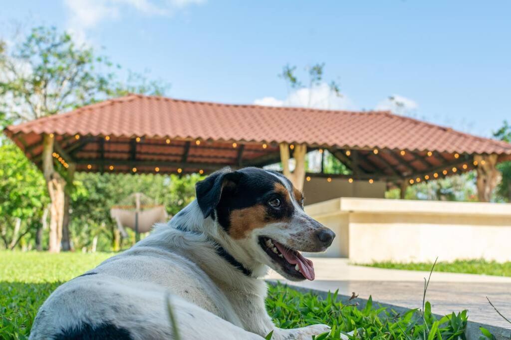 Casa Roble Fortuna La Fortuna Exterior foto